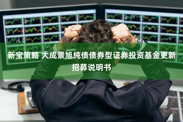 新宝策略 大成景旭纯债债券型证券投资基金更新招募说明书