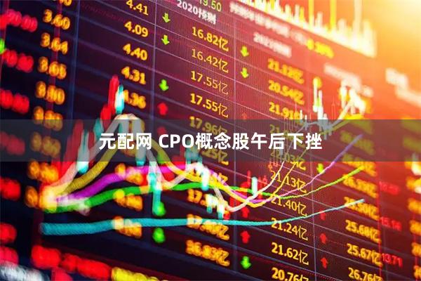 元配网 CPO概念股午后下挫