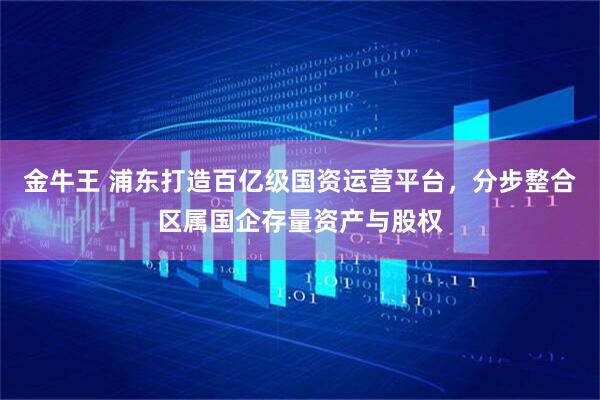 金牛王 浦东打造百亿级国资运营平台，分步整合区属国企存量资产与股权